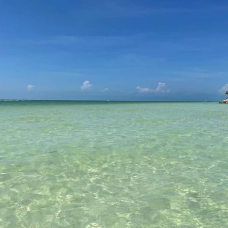 Pool View Loft Steps From The Ocean In Punta Cocos - C101 Hotel Isla Holbox Exterior foto