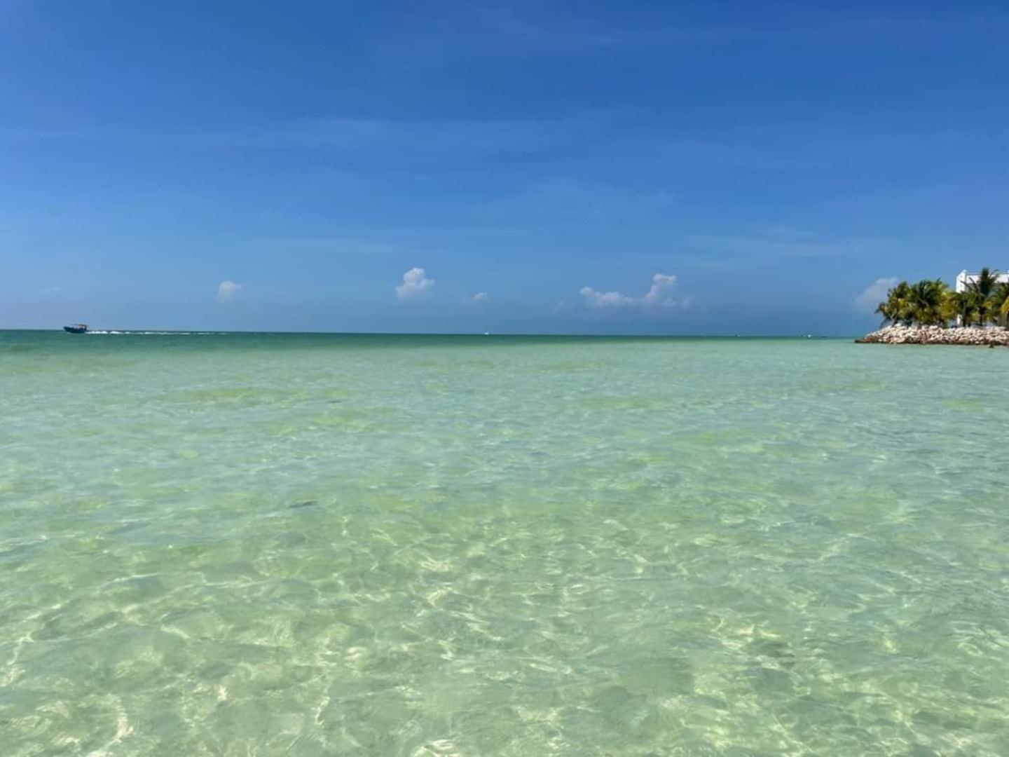 Pool View Loft Steps From The Ocean In Punta Cocos - C101 Hotel Isla Holbox Exterior foto