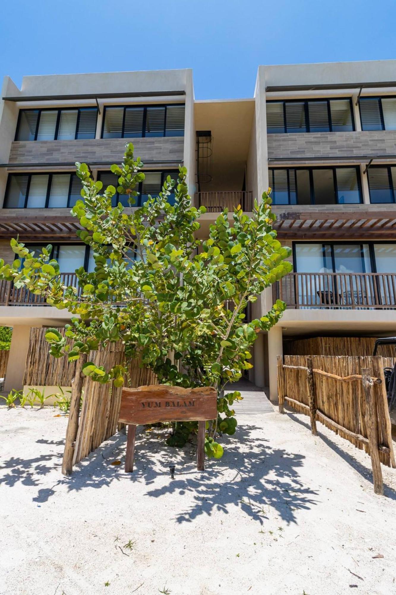 Pool View Loft Steps From The Ocean In Punta Cocos - C101 Hotel Isla Holbox Exterior foto